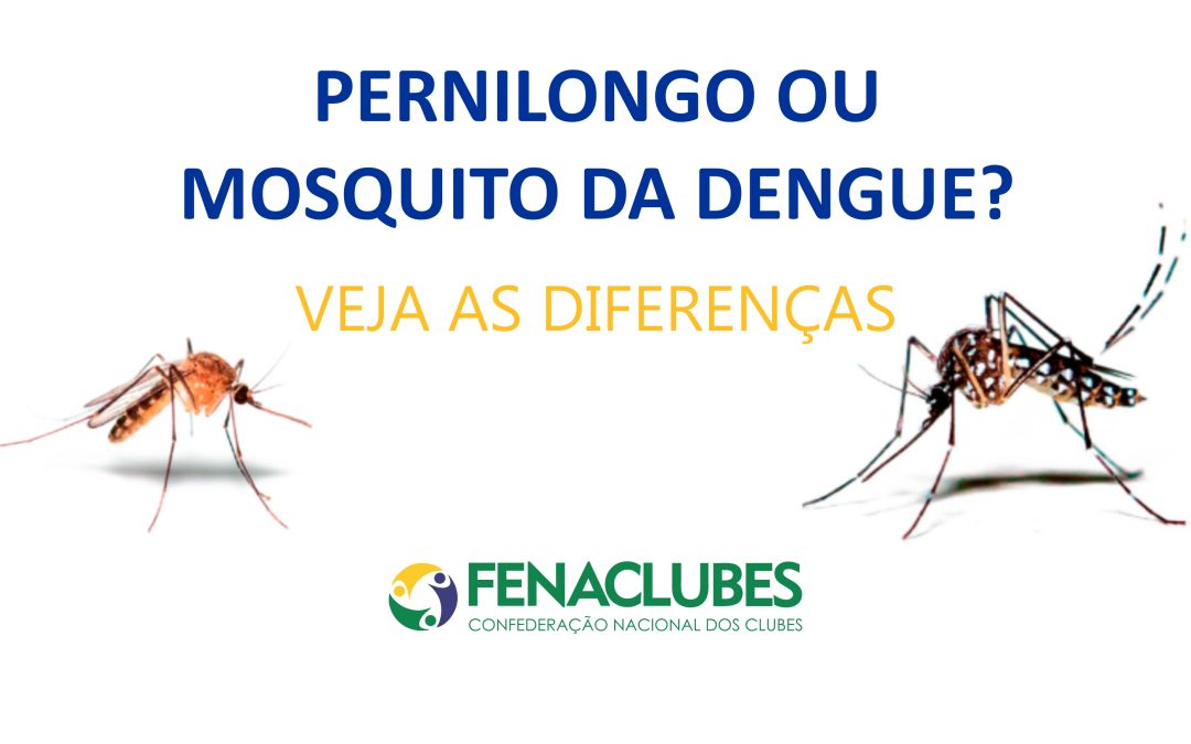 Dengue: aprenda a identificar e evitar o mosquito!